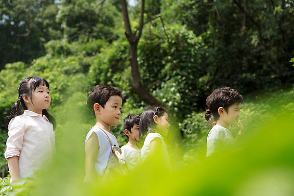 포토 JPG 주간 식물 라이프스타일 응시 여자 남자 어린이라이프 어린이 잎 모션 서기 사람 동양인 여러명 상반신 야외 옆모습 유치원 유치원생 한국인 체험학습 체험 어린이만 국내포토 자연요소 시선 교육 뷰포인트 다수 컨셉 인종 생활 파일형식