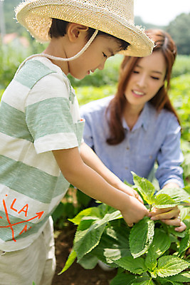 포토 자연요소 직업 라이프스타일 교육 어린이 뷰포인트 컨셉 밭 모션 사람 동양인 인종 생활 체험 파일형식 유치원 어린이라이프 체험학습 유치원생 상반신 여자 서기 남자 앉기 앞모습 교사 두명 한국인 야외 주간 JPG 성인 옆모습 텃밭 국내포토
