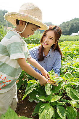 포토 JPG 주간 라이프스타일 여자 남자 어린이라이프 어린이 모션 서기 사람 앉기 동양인 상반신 성인 야외 두명 앞모습 옆모습 교사 유치원 유치원생 한국인 체험학습 체험 텃밭 국내포토 자연요소 직업 교육 뷰포인트 컨셉 밭 인종 생활 파일형식