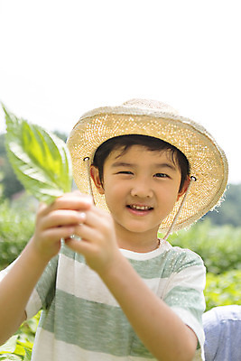 포토 JPG 주간 식물 라이프스타일 남자 어린이라이프 어린이 잎 모션 한명 서기 미소 사람 동양인 상반신 야외 앞모습 유치원 한국인 체험학습 체험 즐거움 텃밭 남자만 남자한명만 어린이만 소년만 소년한명만 국내포토 자연요소 1 교육 감정 뷰포인트 컨셉 밭 표정 인종 생활 파일형식