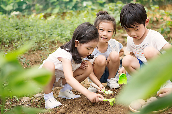포토 JPG 주간 전신 라이프스타일 여자 남자 어린이라이프 어린이 모션 사람 앉기 동양인 야외 앞모습 세명 유치원 유치원생 한국인 체험학습 체험 삽 텃밭 어린이만 국내포토 자연요소 교육 뷰포인트 컨셉 밭 인종 생활 파일형식
