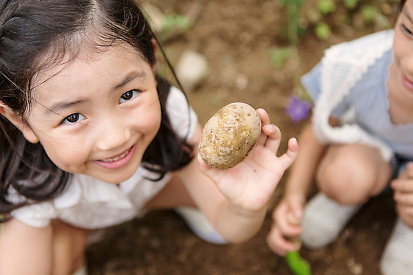 포토 JPG 주간 라이프스타일 여자 어린이라이프 어린이 모션 감자 미소 들기 사람 앉기 동양인 상반신 야외 두명 앞모습 유치원 유치원생 한국인 체험학습 체험 즐거움 텃밭 여자만 어린이만 소녀만 국내포토 자연요소 교육 감정 뷰포인트 컨셉 밭 채소 표정 인종 생활 파일형식