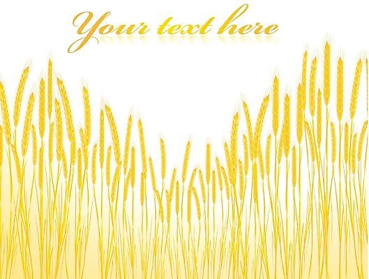 EPS 해외이미지 식물 밭 농업 일러스트 자연 옥수수 농장 노란색 수확 시골 황금 낟알 시리얼 밀 밀짚 호밀 해외202004 해외일러스트 산업 음식 컬러 곡류 짚 생태계 파일형식 벡터 이미지허브