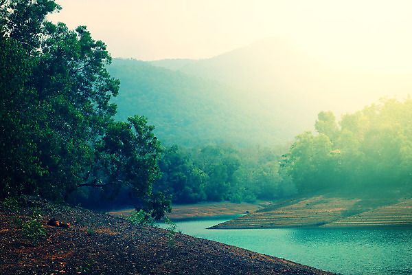 포토 JPG 해외이미지 나무 디자인 공원 여행 백그라운드 잎 자연 벽지 하늘 휴가 풍경 사람없음 야외 초록색 물 여름 파란색 빛 강 햇빛 갈색 일출 침묵 수확 나뭇가지 황무지 숲 복고 스카이라인 내추럴 효과 해외202004 해외포토 자연요소 식물 계절 공공시설 컬러 농업 태양 노을 소리 생태계 파일형식 이미지허브
