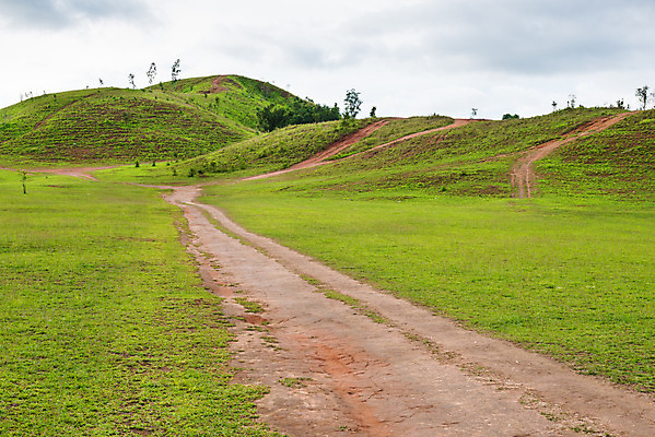 포토 JPG 해외이미지 나무 식물 구름 계절 공원 여행 밭 태국 자연 하늘 산 풍경 사람없음 야외 초록색 여름 파란색 농장 여행객 흰색 땅 대머리 남쪽 내추럴 해외202004 해외포토 자연요소 헤어스타일 공공시설 아시아 컬러 농업 사람 방향 생태계 파일형식 이미지허브