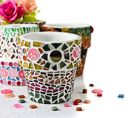 포토 JPG 해외이미지 식물 디자인 꽃 화분 분홍색 결혼 백그라운드 컨셉 꽃무늬 자연 아이디어 발렌타인데이 사랑 미술 사람없음 장식 초록색 장미 냄비 모자이크 수공예 내추럴 고립 핸드메이드 스타일 해외202004 해외포토 감정 컬러 무늬 데이이벤트 문화예술 이벤트 솥 공예 생태계 파일형식 이미지허브