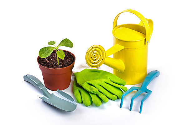 포토 JPG 해외이미지 식물 계절 꽃 장갑 백그라운드 농업 호박 취미 사람없음 초록색 여름 세트 컬러풀 노란색 정원 봄 장비 흰색 도구 업무 캔 냄비 삽 물주기 원예 갈퀴 고립 원예사 해외202004 해외포토 직업 잡화 산업 컬러 채소 모션 작업 솥 파일형식 이미지허브