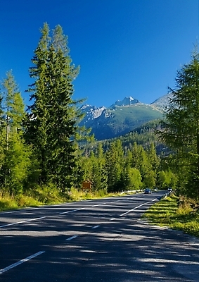포토 JPG 해외이미지 나무 도로 여행 자연 하늘 휴가 산 파노라마 풍경 사람없음 야외 여름 환경 소나무 숲 슬로바키아 해외202004 해외포토 식물 계절 유럽 길 교통시설 촬영기법 생태계 파일형식 이미지허브