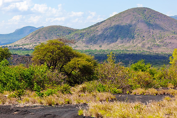 포토 JPG 해외이미지 나무 식물 공원 도로 여행 아프리카 자연 하늘 따뜻함 풍경 사람없음 야외 빨간색 초록색 파란색 빛 환경 맑음 뜨거움 황무지 보호 사파리 언덕 케냐 남쪽 내추럴 방법 사바나 생태학 전국 해외202004 해외포토 공공시설 교육 나라 길 컬러 컨셉 교통시설 날씨 방향 생태계 파일형식 이미지허브