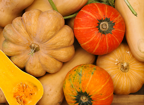 포토 JPG 해외이미지 계절 음식 백그라운드 채소 탁자 호박 사람없음 목재 장식 여름 상자 농장 노란색 우주 할로윈 수확 가을 흰색 시골 등불 신선 과수원 유기농 날것 스쿼시 해외202004 해외포토 나무 웰빙 스포츠 컬러 가구 농업 재료 조명 구기 파일형식 이미지허브