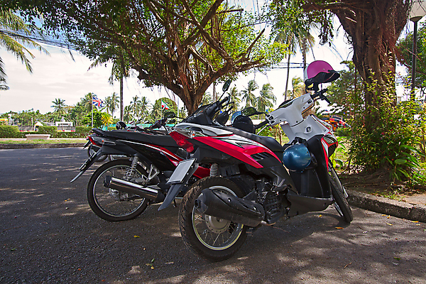 포토 JPG 해외이미지 나무 여행 태국 자연 하늘 거리 사람없음 야외 스쿠터 오토바이 주차 그림 해외202004 해외포토 식물 아시아 바이크 생태계 파일형식 이미지허브
