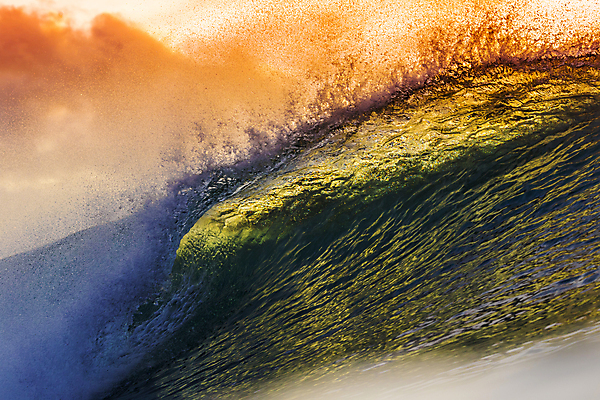 포토 JPG 해외이미지 물결 파도 바다 부분 자연 조류 하늘 사람없음 야외 옆모습 가로 물 파란색 햇빛 반사 환경 힘 활발 젖음 거친 액체 서핑 큼 문학 분무기 해일 스플래쉬 해외202004 해외포토 자연요소 동물 뷰포인트 컬러 컨셉 태양 수상스포츠 크기 자연재해 생태계 파일형식 이미지허브