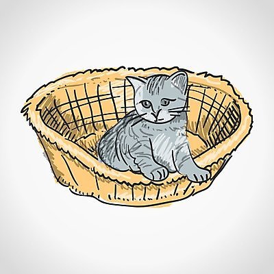 EPS 해외이미지 동물 백그라운드 오렌지 일러스트 장난 털 실내 발렌타인데이 앉기 목재 반려동물 갈색 바구니 검은색 고양이 회색 흰색 마음 아기 황금 우아함 달콤 작음 모피 호기심 조립 고립 핸드메이드 해외202004 해외일러스트 나무 감정 컬러 컨셉 과일 재료 포유류 모션 데이이벤트 사람 내부 맛 크기 파일형식 벡터 이미지허브