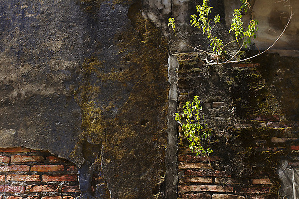 포토 JPG 해외이미지 지구 벽 백그라운드 패턴 건축양식 벽지 표면 날씨 벽돌 함께함 돌담 사람없음 건물 가로 빨간색 갈색 힘 수확 거친 타일 질감 시멘트 벽돌담 직사각형 고체 어려움 옛날 줄서기 해외202004 해외포토 도형 건축물 건축 컬러 컨셉 무늬 농업 모션 담장 돌_바위 파일형식 이미지허브