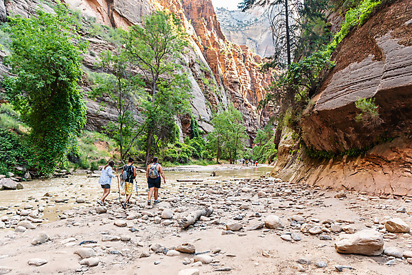 포토 JPG 해외이미지 공원 여자 남자 벽 여행 북아메리카 자연 숙이기 사람 풍경 사람없음 야외 물 강 걷기 환경 계곡 미국 산책 하이킹 탐험 땅 부식 좁은 방문 목각 깊이 서쪽 시온산 전국 하이커 세련 해외202004 해외포토 자연요소 공공시설 포즈 모션 레저 휴식 아메리카 방향 생태계 파일형식 이미지허브