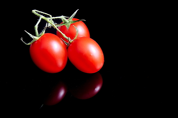포토 JPG 해외이미지 식물 음식 줄기 백그라운드 잎 농업 토마토 채소 재료 자연 건강 사람없음 빨간색 초록색 검은색 샐러드 신선 체리 맛 유기농 날것 내추럴 고립 숙성 채식주의자 해외202004 해외포토 웰빙 산업 컬러 컨셉 과일 생태계 채식 파일형식 이미지허브