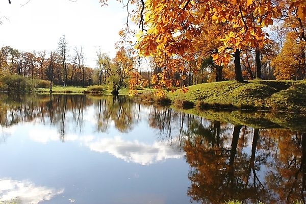포토 JPG 해외이미지 나무 구름 호수 자연 하늘 사람없음 반사 가을 시트 해외202004 해외포토 자연요소 식물 계절 생태계 파일형식 이미지허브