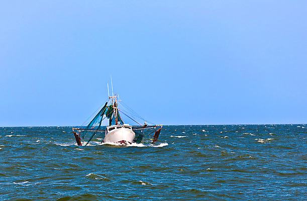 포토 JPG 해외이미지 구름 실루엣 산업 호수 음식 파도 바다 비즈니스 자연 하늘 낚시 휴가 항해 어류 어업 풍경 사람없음 야외 물 파란색 빛 태양 반사 항구 미국 황혼 신선 만 그물 어선 보트 작음 철 함선 상업 낚시꾼 수평선 해외202004 해외포토 자연요소 컬러 북아메리카 배_교통 교통시설 레저 촬영기법 수중동물 일몰 크기 생태계 파일형식 이미지허브