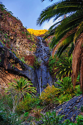 포토 JPG 해외이미지 나무 식물 구름 공원 섬 여행 잎 자연 하늘 산 손바닥 풍경 사람없음 야외 목재 초록색 물 여름 파란색 햇빛 맑음 폭포 젖음 흐름 가을 바위 신선 개울 떨어짐 숲 대서양 내추럴 스플래쉬 해외202004 해외포토 자연요소 손 계절 공공시설 바다 컬러 컨셉 재료 날씨 강 태양 돌_바위 생태계 파일형식 이미지허브