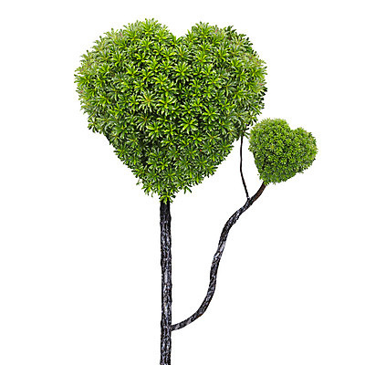 포토 JPG 해외이미지 나무 식물 디자인 계절 공원 백그라운드 밭 가족 자연 아침 추상 산 사랑 풍경 잔디 사람없음 야외 초록색 여름 우주 환경 정원 봄 가을 숲 땅 질감 내추럴 해외202004 해외포토 주간 공공시설 감정 컬러 무늬 농업 관계 생태계 파일형식 이미지허브