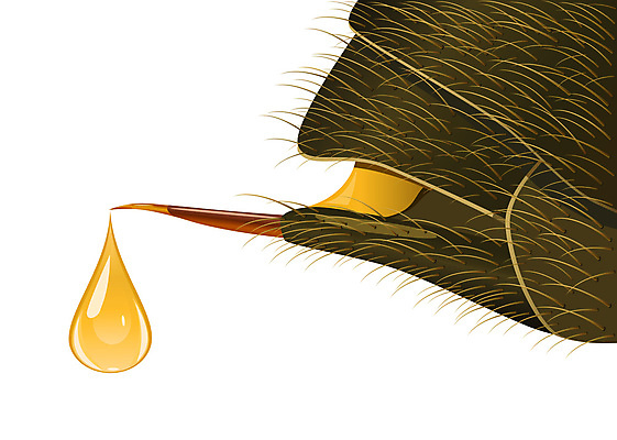 포토 JPG 해외이미지 동물 곤충 절지류 오렌지 일러스트 학교 자연 사람없음 갈색 노란색 줄무늬 고통 슬픔 독약 닫기 벌레 작음 만화 벌 묘사 고민 날카로움 찌르기 알레르기 해외202004 해외포토 교육 감정 컬러 무늬 과일 모션 질병 크기 생태계 파일형식 이미지허브