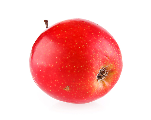 포토 JPG 해외이미지 모양 라이프스타일 음식 과일 자연 건강 사람없음 빨간색 우주 흰색 신선 중앙 달콤 사과 매끈함 자르기 먹기 싱글 상쾌 유기농 정사각형 윤곽 문학 고립 숙성 채식주의자 해외202004 해외포토 도형 웰빙 감정 컬러 모션 생활 감각 맛 생태계 채식 파일형식 이미지허브