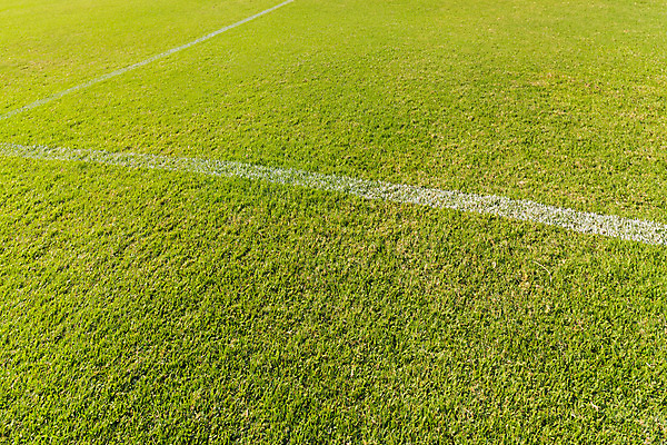 포토 JPG 해외이미지 선 스포츠 백그라운드 패턴 밭 자연 추상 풍경 잔디 사람없음 야외 초록색 여름 우주 환경 축구 경기장 봄 성장 게임 흰색 신선 놀이터 땅 질감 내추럴 골 땅바닥 해외202004 해외포토 식물 계절 컬러 무늬 농업 스포츠시설 놀이 바닥 구기 생태계 파일형식 이미지허브