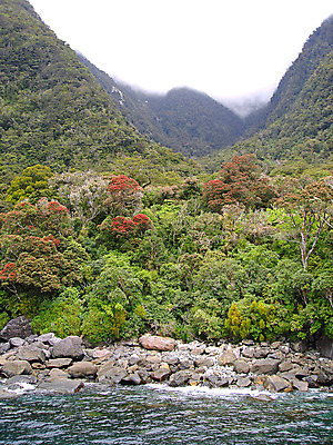 포토 JPG 해외이미지 얼굴 산 국립공원 경사 사람없음 물 파란색 여행객 소리 폭포 젖음 세계문화유산 뉴질랜드 내추럴 얇은 해외202004 해외포토 자연요소 공원 컬러 자연 사람 신체부위 문화재 오세아니아 파일형식 이미지허브