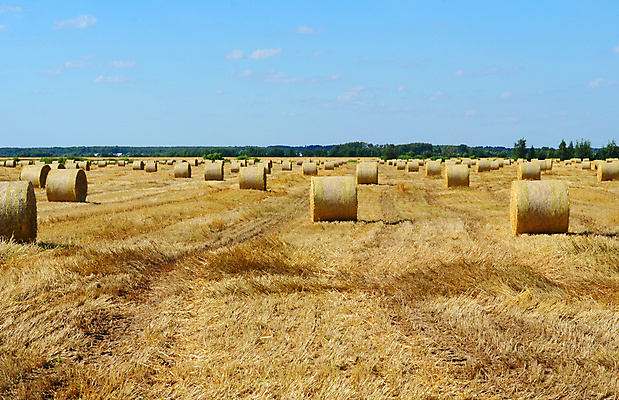 포토 JPG 해외이미지 주간 구름 농업 하늘 풍경 사람없음 야외 농경지 짚더미 뭉치 해외202004 해외포토 자연요소 산업 농장 볏짚 파일형식 더미 이미지허브
