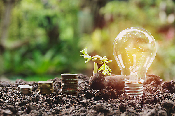 포토 JPG 해외이미지 나무 식물 디자인 백그라운드 컨셉 돈 비즈니스 전구 자연 유리 성공 아이디어 창조 사람없음 금융 경제 빛 쌓기 동전 힘 장비 에너지 성장 흰색 램프 시장 재산 황금 주식 투자 혁명 광 해외202004 해외포토 컬러 모션 재질 조명 생태계 파일형식 이미지허브