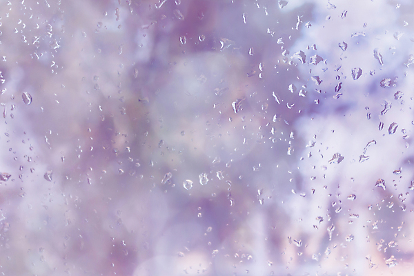 포토 JPG 해외이미지 접시 백그라운드 패턴 유리 추상 사람없음 물 빛 보라색 화목 거품 거울 원형 달콤 떨어짐 제비꽃 보케 부드러움 파스텔톤 해외202004 해외포토 자연요소 도형 식기 꽃 컬러 컨셉 무늬 재질 감각 맛 파일형식 이미지허브