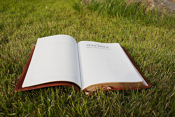 포토 JPG 해외이미지 1 기독교 종교 종이 백그라운드 텍스트 사람없음 책 초록색 성경 흰색 오픈 문학 증거 페이지 신성 양장본 출판 해외202004 해외포토 컬러 종교용품 파일형식 이미지허브