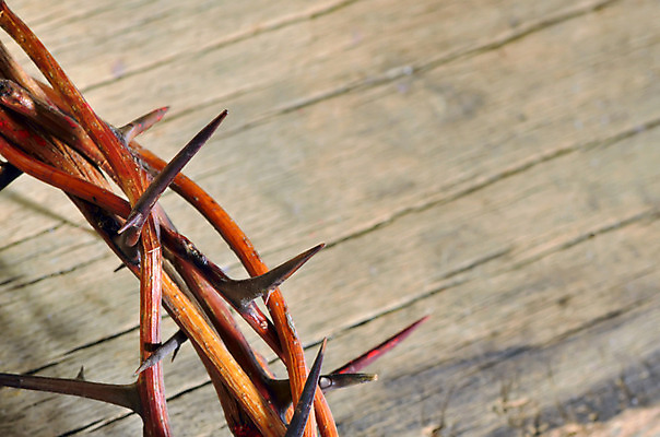 포토 JPG 해외이미지 디자인 기독교 종교 패턴 휴가 왕관 부활절 그림자 사람없음 목재 믿음 고통 나뭇가지 직물 면 얼룩 원형 예수 가시 구출 왕 4월 삼베 심볼 오브젝트 사인 열정 캔버스 섬유 고립 귀족 금요일 신앙심 해외202004 해외포토 도형 나무 기념일 감정 무늬 재료 도움 신_종교 날짜 요일 파일형식 천_직물 이미지허브
