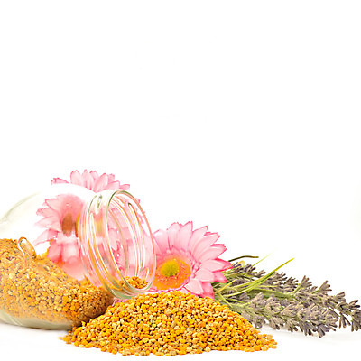 포토 JPG 해외이미지 꽃 음식 백그라운드 패턴 자연 유리 건강 사람없음 치료 약 라벨 공백 활발 에너지 약재 흰색 항아리 신용카드 닫기 약초 상품 묘사 유기농 꽃가루 결 내추럴 보충 고립 돌봄 양봉 정물화 카피스페이스 해외202004 해외포토 식물 웰빙 컬러 컨셉 무늬 의학 모션 재질 프레임 금융 도자기 풀_식물 가루 그림 생태계 파일형식 이미지허브