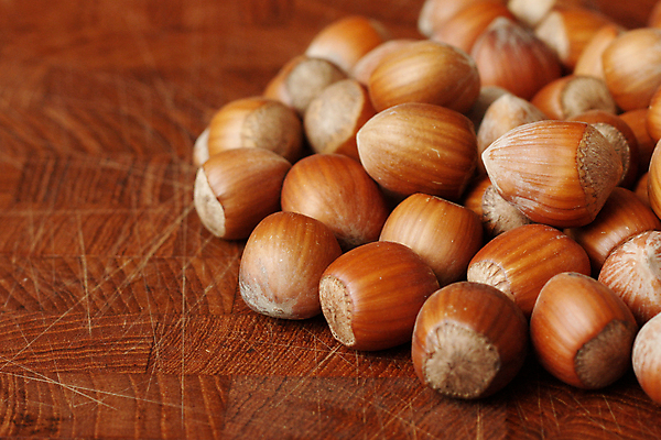 포토 JPG 해외이미지 1 계절 음식 백그라운드 재료 자연 건조 건강 씨앗 사람없음 목재 갈색 견과류 지성 껍질 가을 흰색 오픈 닫기 먹기 가득함 오브젝트 유기농 날것 심플 내추럴 개암나무 꼬투리 여의주 핵심 개암 해외202004 해외포토 나무 식물 웰빙 열매 컬러 모션 생태계 파일형식 이미지허브