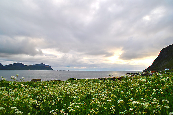 포토 JPG 해외이미지 꽃 바다 산 사람없음 빛 봄 해외202004 해외포토 식물 계절 파일형식 이미지허브