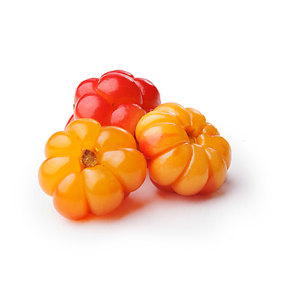 포토 JPG 해외이미지 열매 자연 사람없음 노란색 흰색 배열 유기농 북쪽 흙더미 내추럴 고립 숙성 해외202004 해외포토 식물 웰빙 컬러 흙 방향 생태계 파일형식 더미 이미지허브