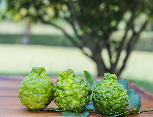 포토 JPG 해외이미지 음식 채소 과일 재료 귤 건강 동양인 사람없음 목재 초록색 신선 거친 주름 자르기 허브 유기농 날것 라임 해외202004 해외포토 나무 식물 웰빙 컬러 모션 인종 파일형식 이미지허브