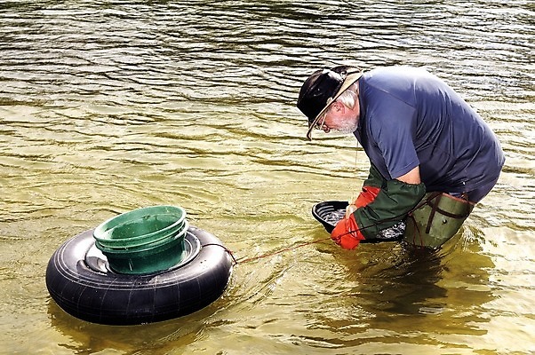포토 JPG 해외이미지 라이프스타일 손 유럽 모래 스포츠 자연 한명 사람 야외 물 강 환경 금속 장비 프랑스 수확 도구 공구 잡기 업무 개울 재산 황금 씻기 발굴 광부 지질학 철강 해외202004 해외포토 자연요소 직업 1 교육 나라 농업 모션 재질 생활 신체부위 금융 청결 작업 생태계 파일형식 이미지허브