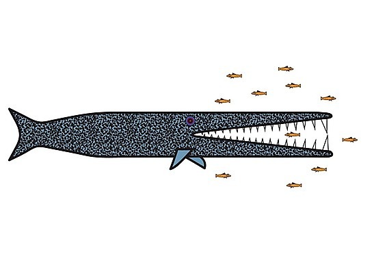 EPS 해외이미지 음식 컨셉 일러스트 비즈니스 바닥 어류 가로 경쟁 정상 작음 큼 먹이 먹기 법 육식동물 생존 못생김 해외202004 해외일러스트 동물 모션 수중동물 크기 파일형식 벡터 이미지허브