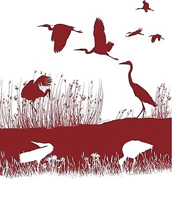 EPS 해외이미지 식물 일러스트 자연 조류 갈대 고립 동물상 황새 해외202004 해외일러스트 동물 조형물 생태계 파일형식 벡터 이미지허브