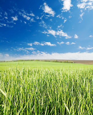 포토 JPG 해외이미지 식물 구름 계절 백그라운드 밭 농업 자연 하늘 풍경 사람없음 야외 초록색 여름 파란색 빛 햇빛 환경 봄 광선 흰색 시골 땅 언덕 장면 내추럴 생태학 오지 평야 수평선 세련 해외202004 해외포토 자연요소 교육 산업 컬러 태양 생태계 파일형식 이미지허브