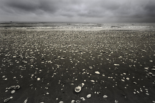 포토 JPG 해외이미지 구름 모래 파도 바다 자연 풍경 사람없음 물 어둠 껍질 굴 폭풍 흐림 내추럴 폭풍우 수평선 해외202004 해외포토 자연요소 날씨 어패류 비_날씨 자연재해 생태계 파일형식 이미지허브