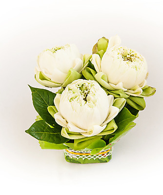 포토 JPG 해외이미지 식물 꽃 백그라운드 연꽃 선물 사람없음 초록색 평화 회색 흰색 꽃집 심볼 존경 해외202004 해외포토 컬러 컨셉 상점 파일형식 이미지허브