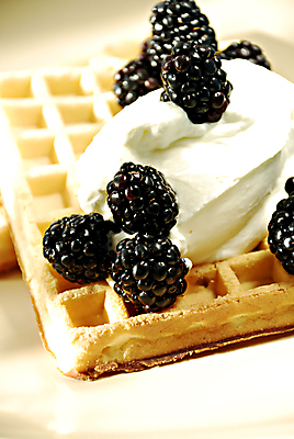 포토 JPG 해외이미지 열매 다이어트 과일 디저트 사람없음 달콤 맛 크림 블루베리 칼로리 푸딩 블랙베리 와플 휘핑크림 해외202004 해외포토 식물 음식 컨셉 건강 휘핑 파일형식 이미지허브