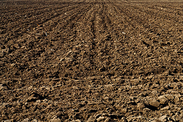 포토 JPG 해외이미지 밭 농업 풍경 사람없음 농장 농경지 흙 시골 땅 만취 트랙터 밭일 쟁기 세련 해외202004 해외포토 산업 농기계 특수차량 술취함 파일형식 이미지허브