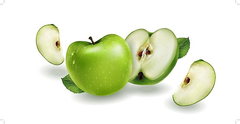 EPS 해외이미지 과일 일러스트 사람없음 사과 청사과 해외202004 해외일러스트 파일형식 벡터 이미지허브