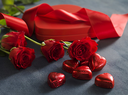 포토 JPG 해외이미지 리본 회색배경 발렌타인데이 사람없음 선물상자 하이앵글 장미 초콜릿 하트 오브젝트 해외포토 모양 꽃 뷰포인트 백그라운드 데이이벤트 디저트 선물 상자 회색 파일형식 이미지허브