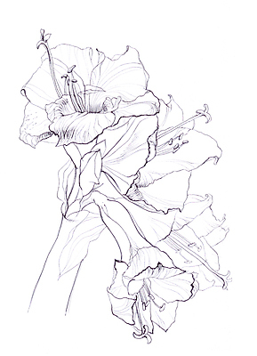 포토 JPG 해외이미지 식물 계절 꽃 아시아 야생동물 백그라운드 꽃무늬 패턴 일러스트 자연 잉크 흑백 사람없음 그래픽 장식 펜 정원 검은색 흰색 나뭇가지 인쇄 스케치 그림 생물학 하와이 판화 옛날 핸드메이드 히비스커스 알로하 해외202004 해외포토 나무 동물 교육 나라 컬러 무늬 촬영기법 미술 필기구 미국 인사 생태계 파일형식 이미지허브