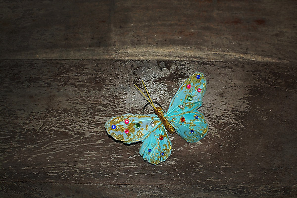 포토 JPG 해외이미지 디자인 계절 분홍색 나비 곤충 백그라운드 컨셉 날개 자연 추상 미술 사람없음 장식 물 여름 파란색 컬러풀 봄 꿈 수확 인사 신용카드 화려 심볼 질감 복고 엽서 공상 구성 엘리먼트 터키석 스타일 해외202004 해외포토 자연요소 동물 컬러 무늬 농업 문화예술 금융 예절 보석 편지 생태계 파일형식 이미지허브